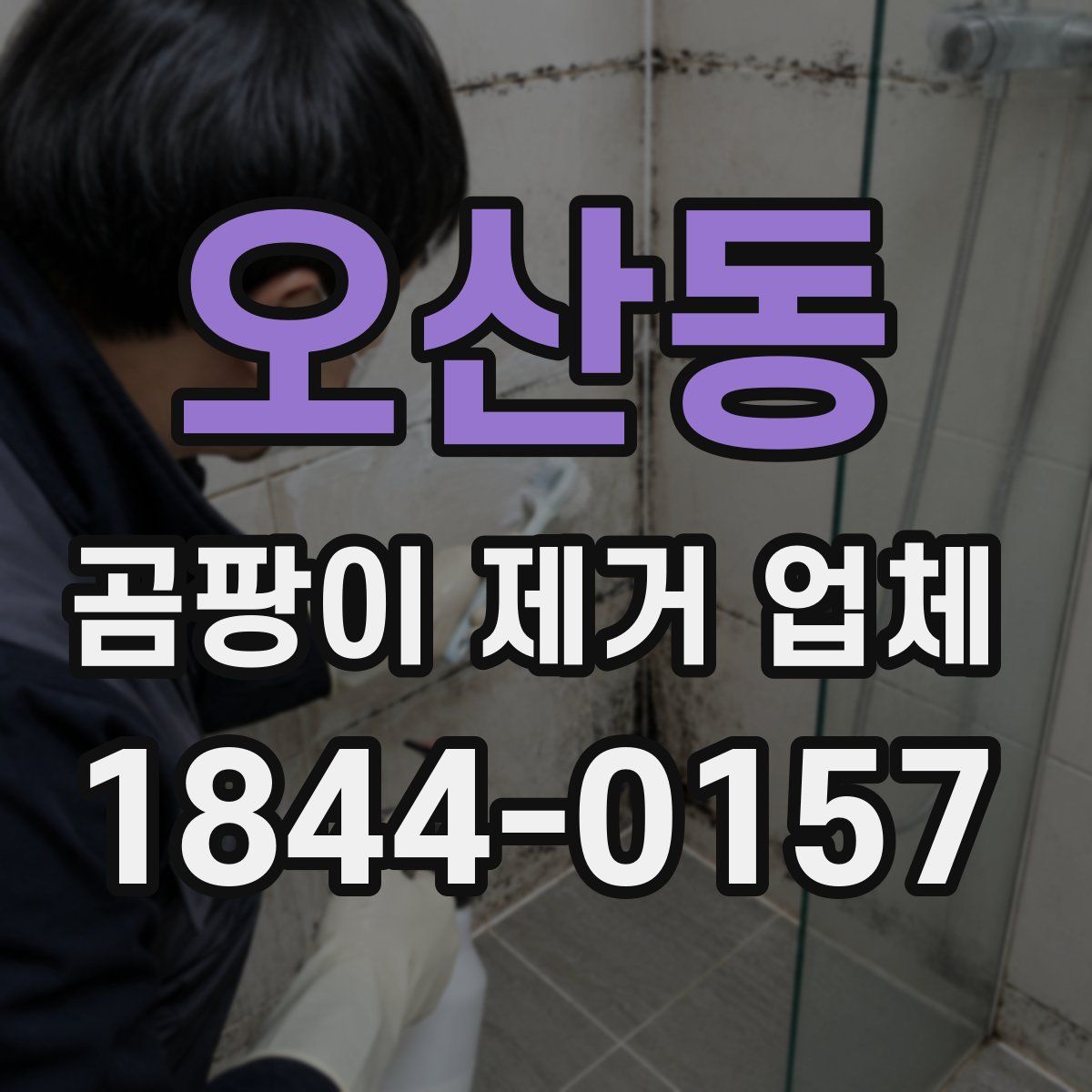 오산동 곰팡이 제거 업체