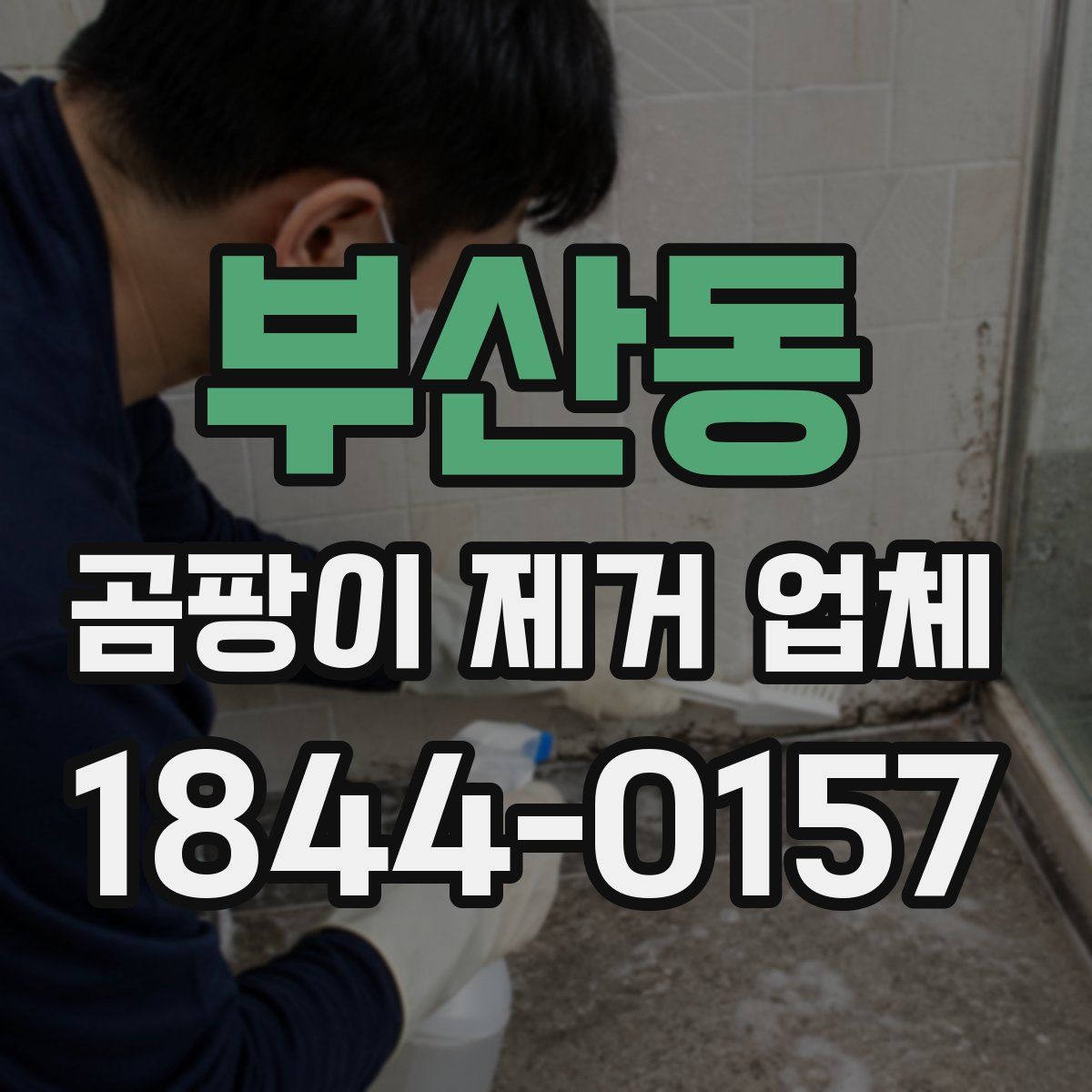 부산동 곰팡이 제거 업체