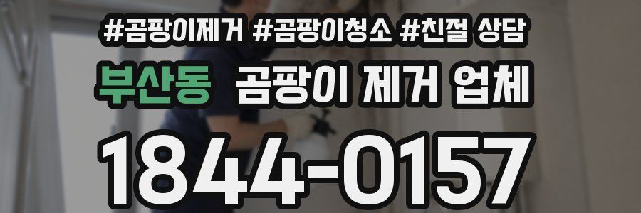 부산동 곰팡이 제거 업체