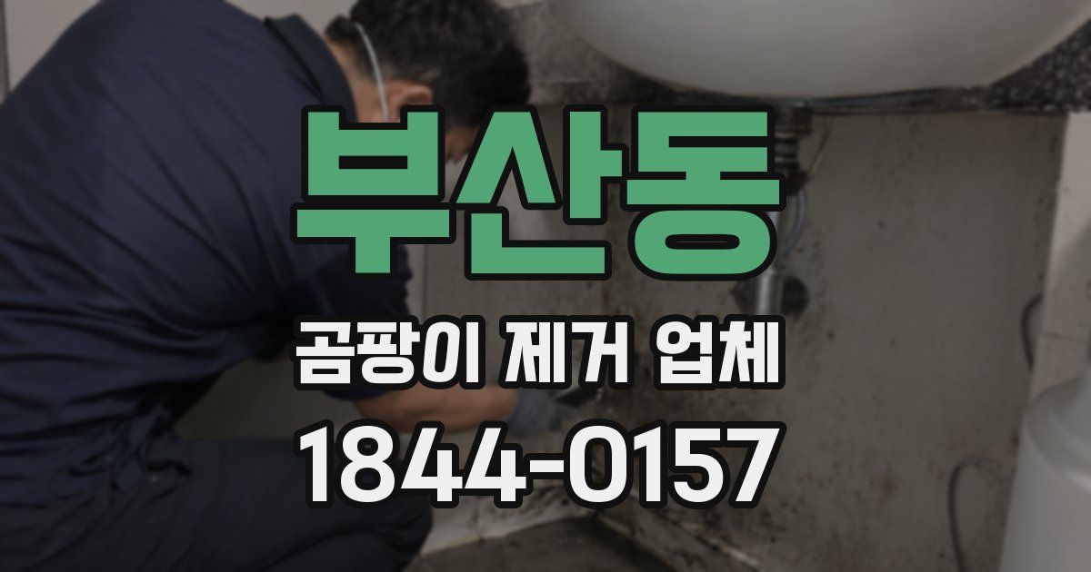 부산동 곰팡이 제거 업체