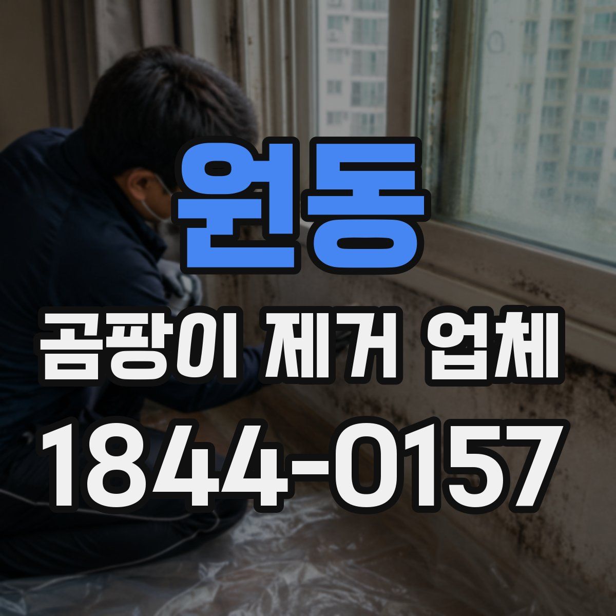 원동 곰팡이 제거 업체