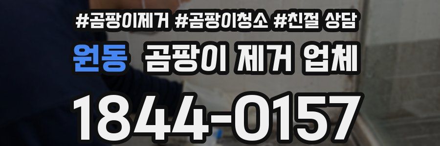 원동 곰팡이 제거 업체