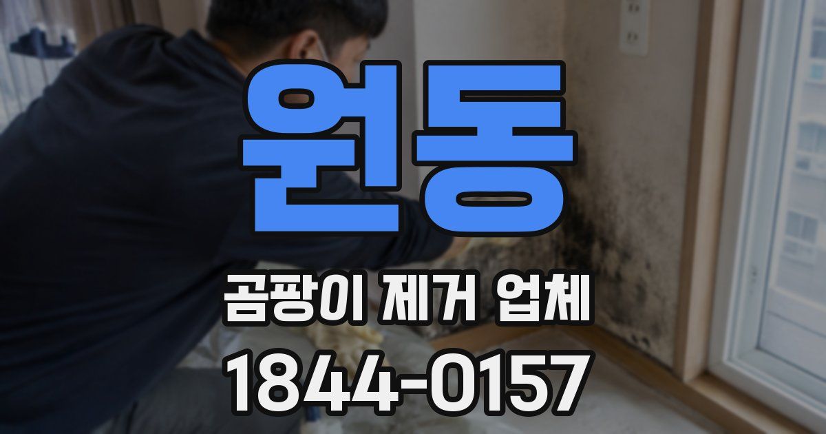 원동 곰팡이 제거 업체