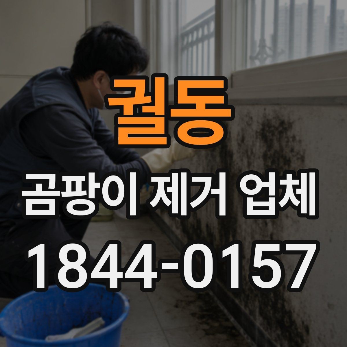 궐동 곰팡이 제거 업체 서비스 범위를 꼼꼼히 보는 방법