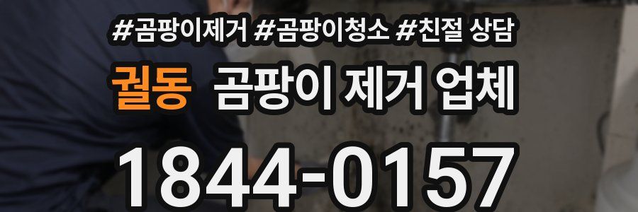 궐동 곰팡이 제거 업체