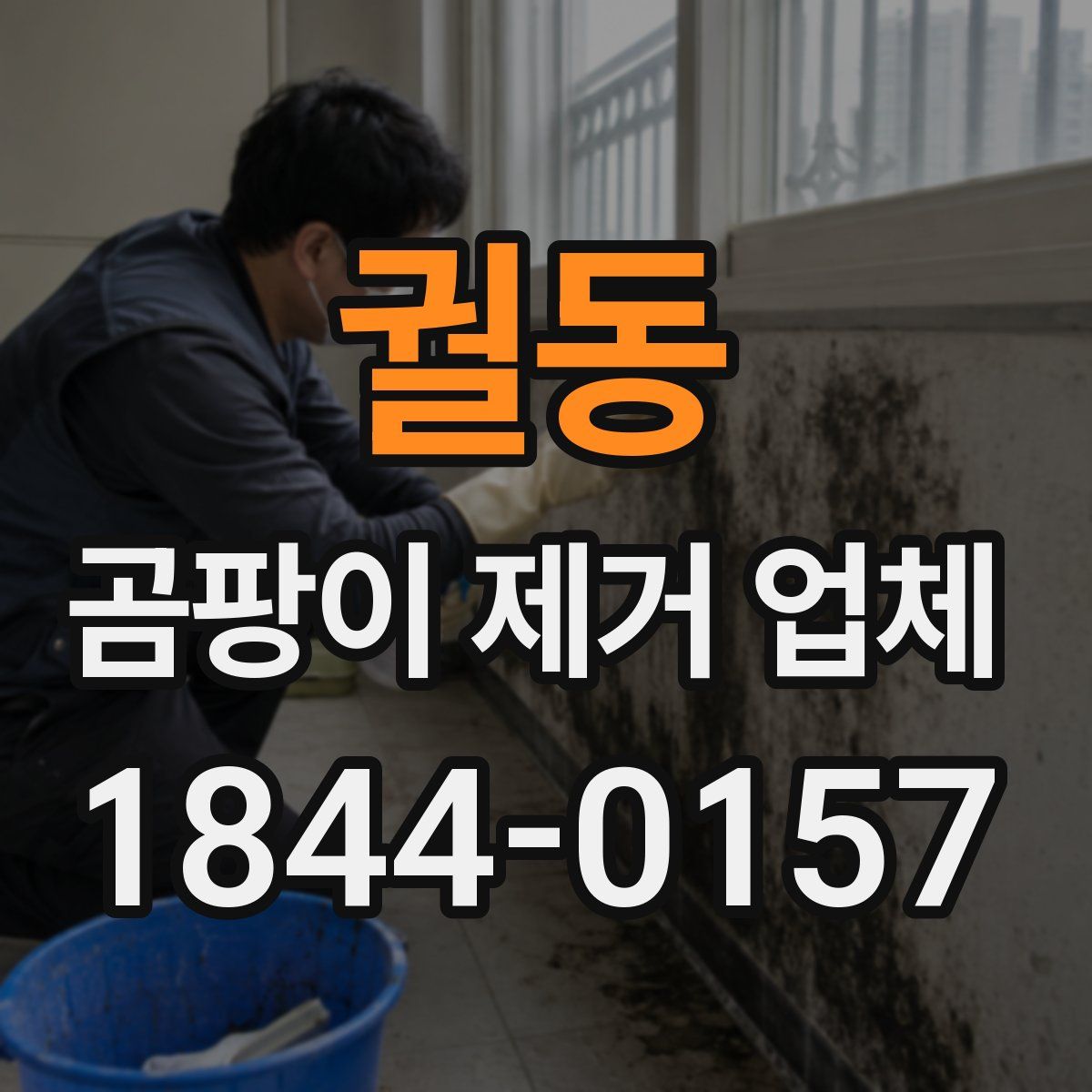 궐동 곰팡이 제거 업체