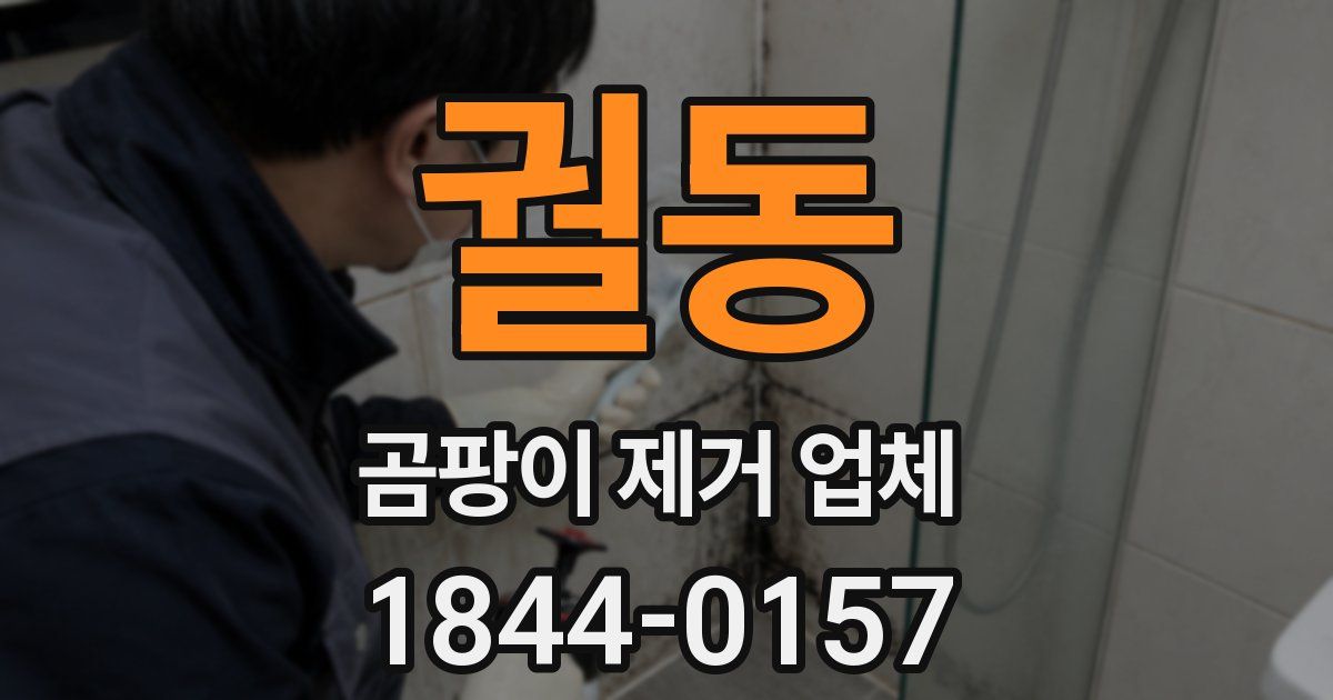 궐동 곰팡이 제거 업체