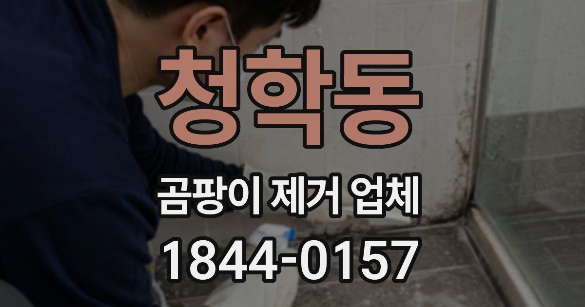 청학동 곰팡이 제거 업체