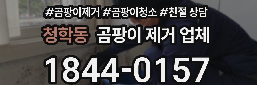 청학동 곰팡이 제거 업체