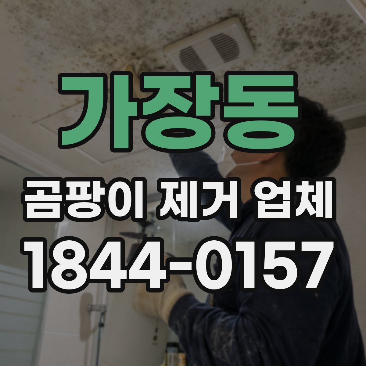 가장동 곰팡이 제거 업체