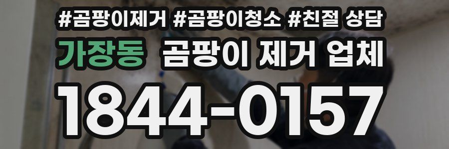 가장동 곰팡이 제거 업체