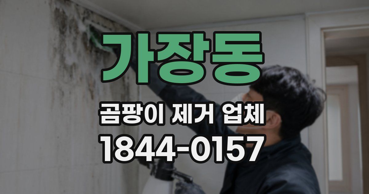가장동 곰팡이 제거 업체