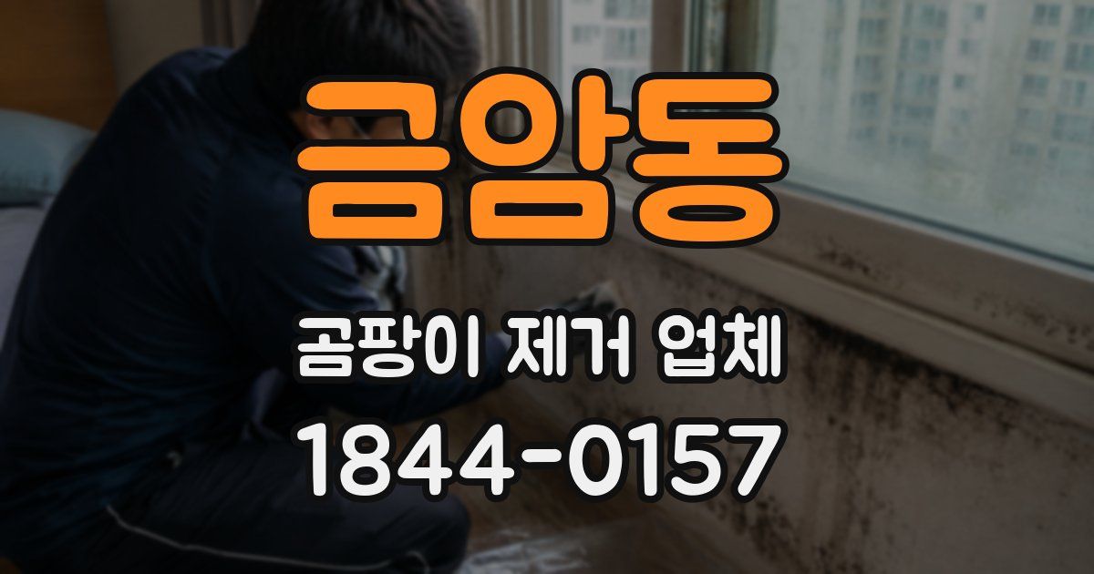 금암동 곰팡이 제거 업체