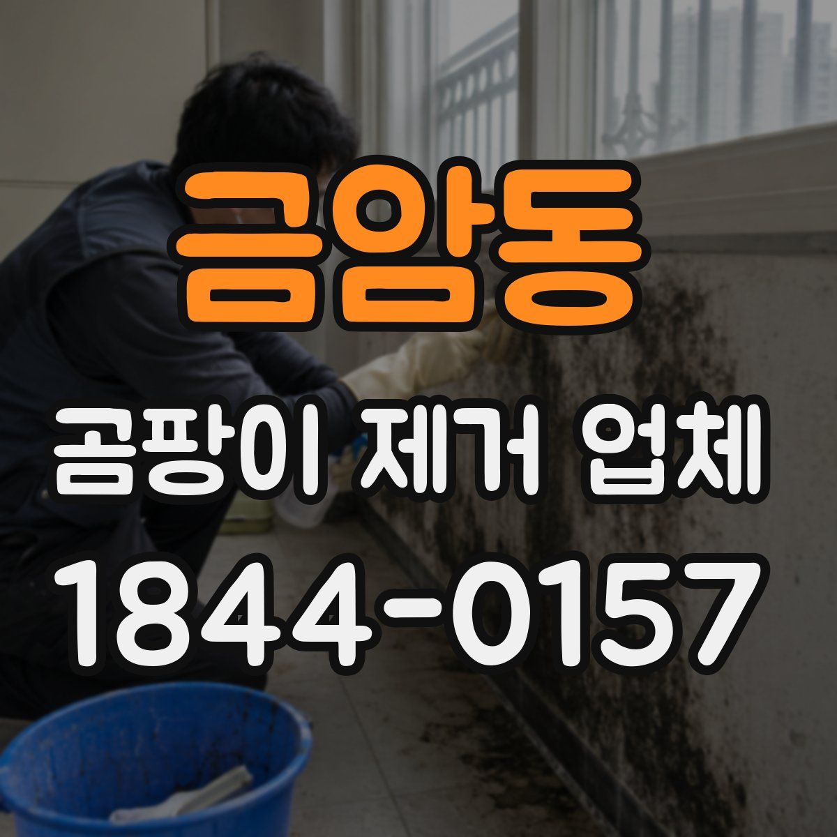 금암동 곰팡이 제거 업체