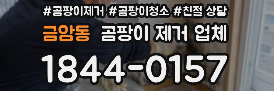 금암동 곰팡이 제거 업체