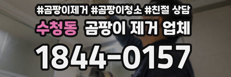 수청동 곰팡이 제거 업체