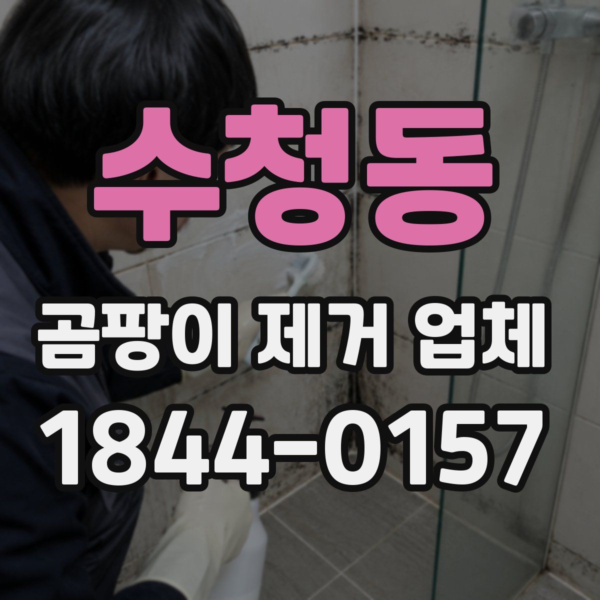 수청동 곰팡이 제거 업체