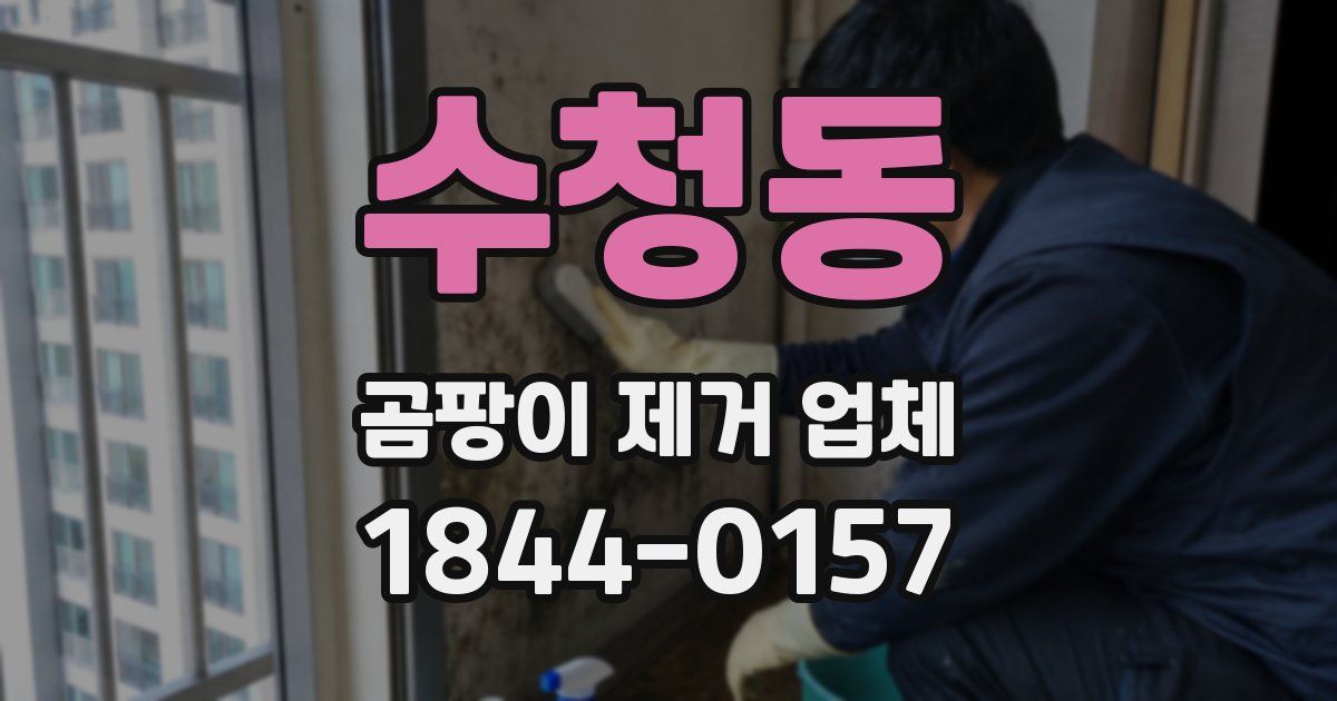 수청동 곰팡이 제거 업체
