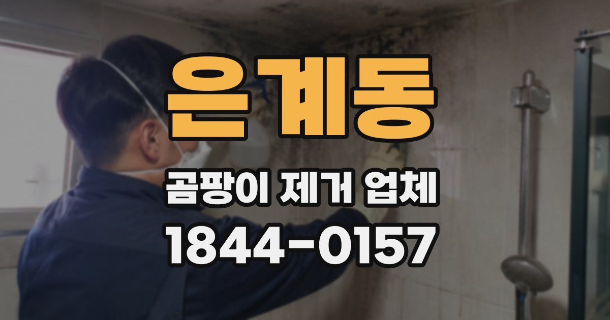 은계동 곰팡이 제거 업체