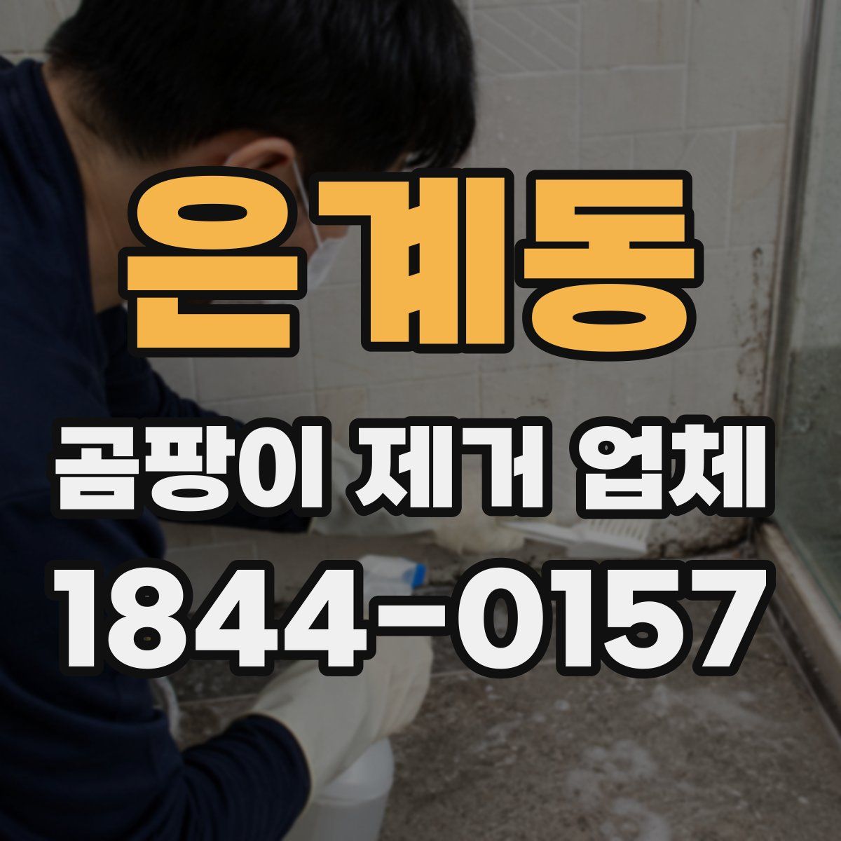 은계동 곰팡이 제거 업체