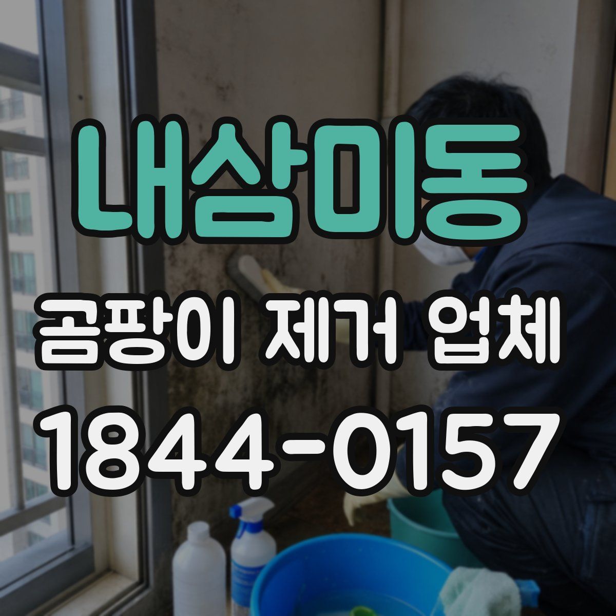 내삼미동 곰팡이 제거 업체
