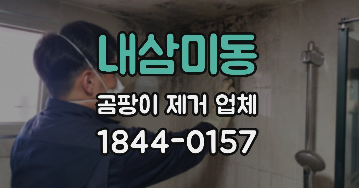 내삼미동 곰팡이 제거 업체