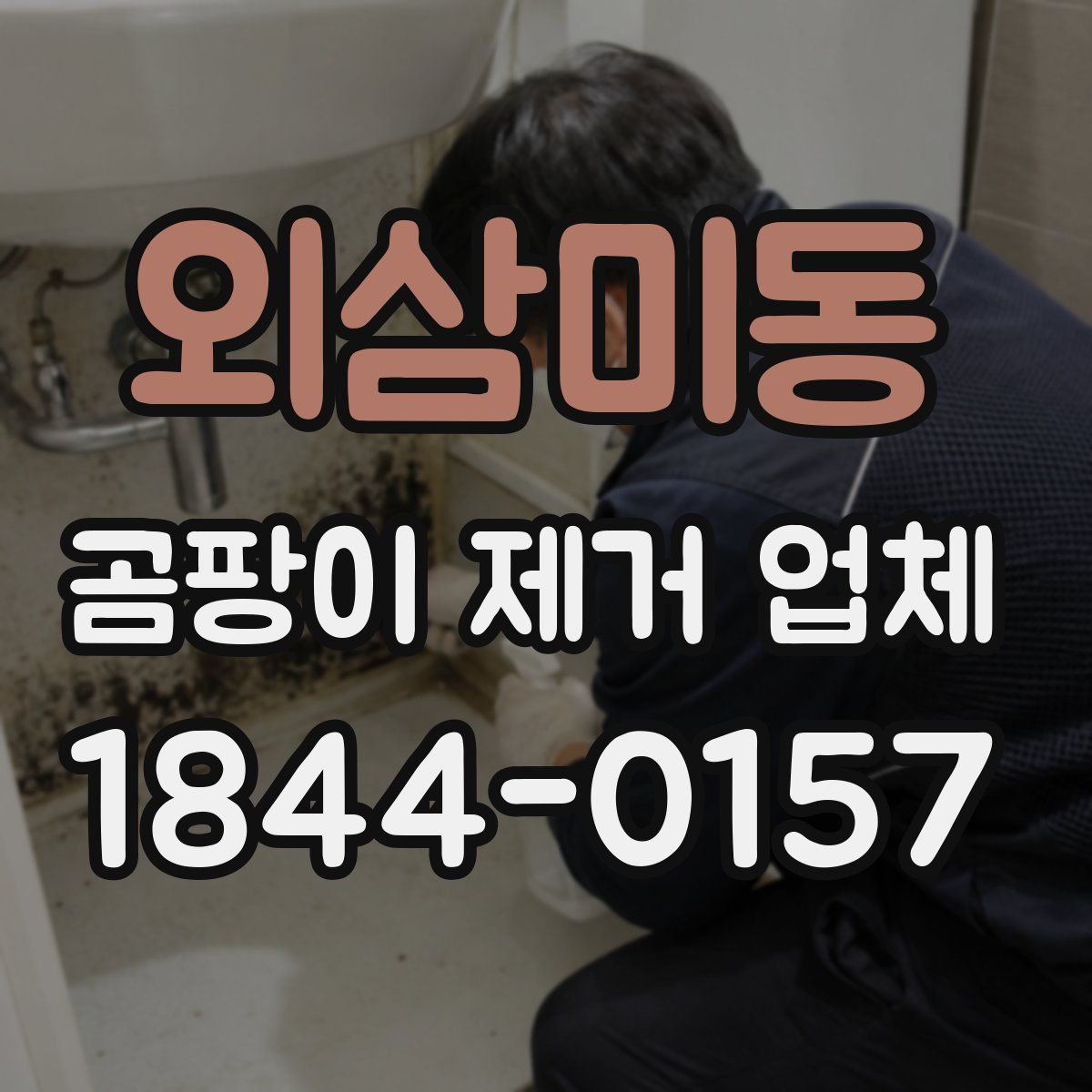 외삼미동 곰팡이 제거 업체