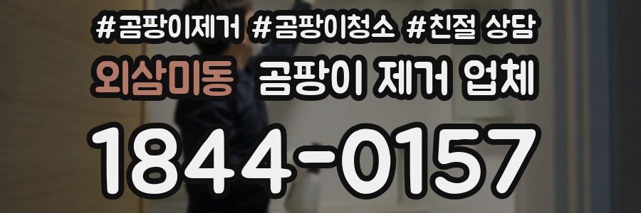 외삼미동 곰팡이 제거 업체