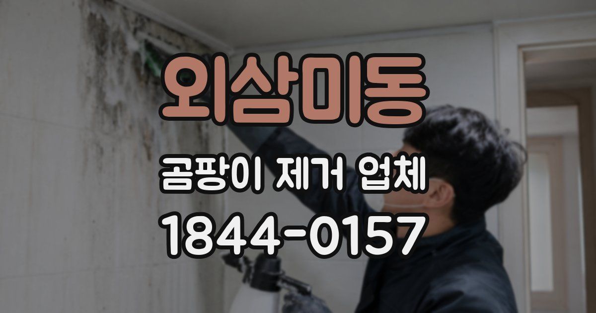 외삼미동 곰팡이 제거 업체