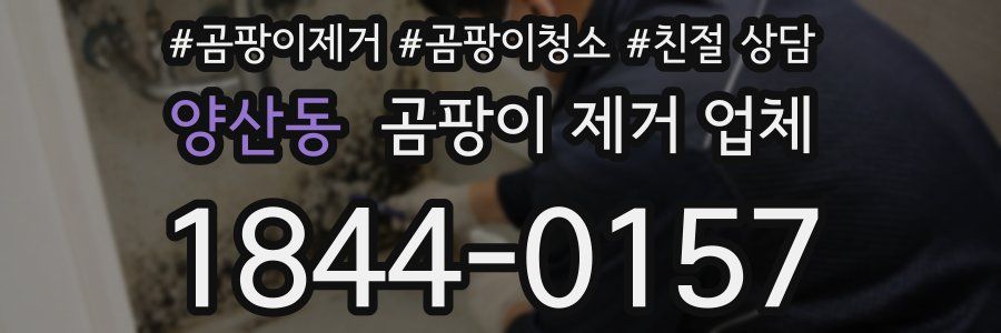 양산동 곰팡이 제거 업체