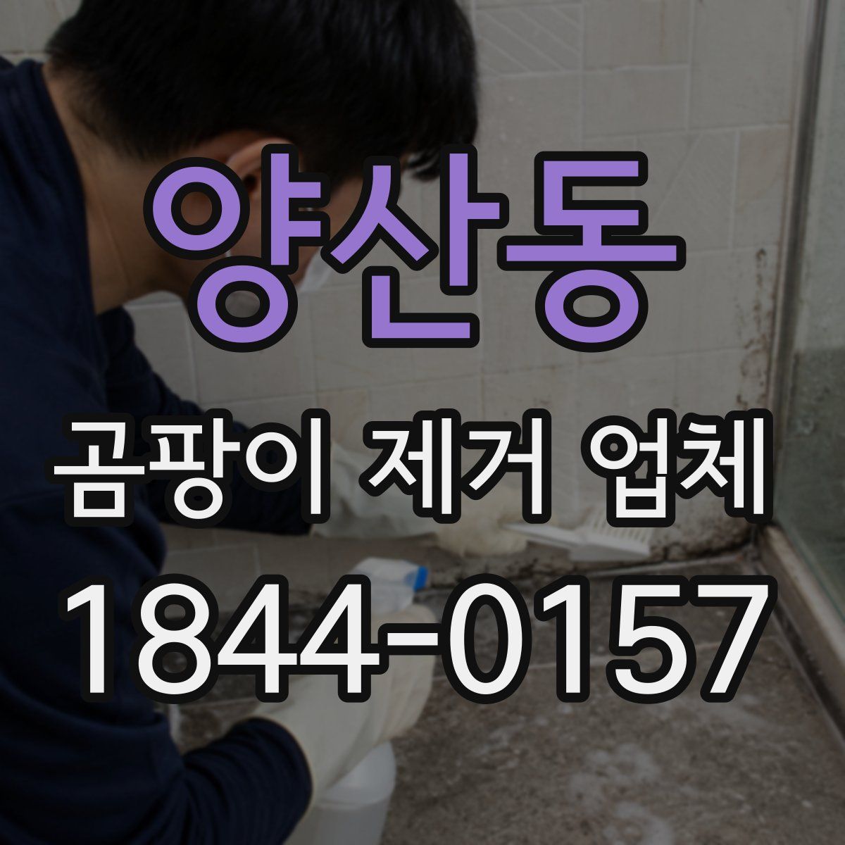 양산동 곰팡이 제거 업체