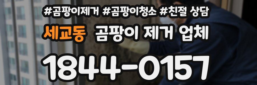 세교동 곰팡이 제거 업체