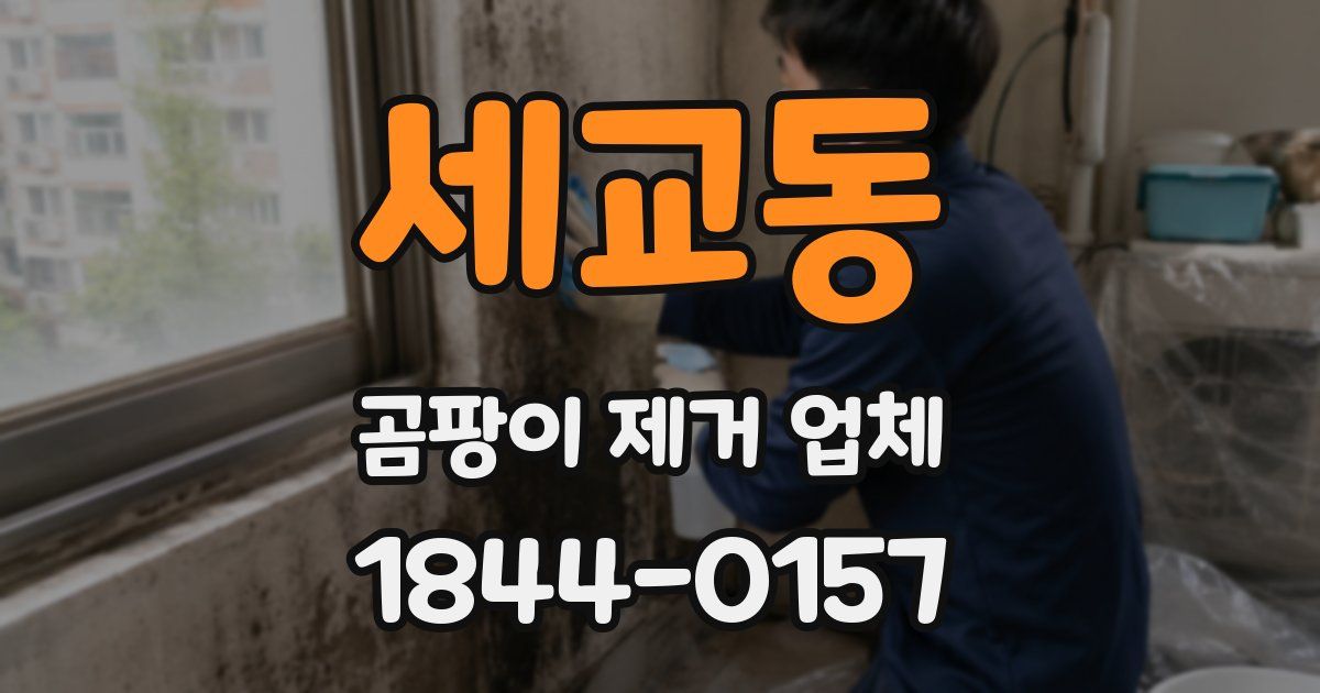 세교동 곰팡이 제거 업체