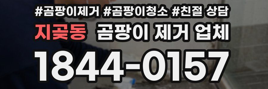 지곶동 곰팡이 제거 업체