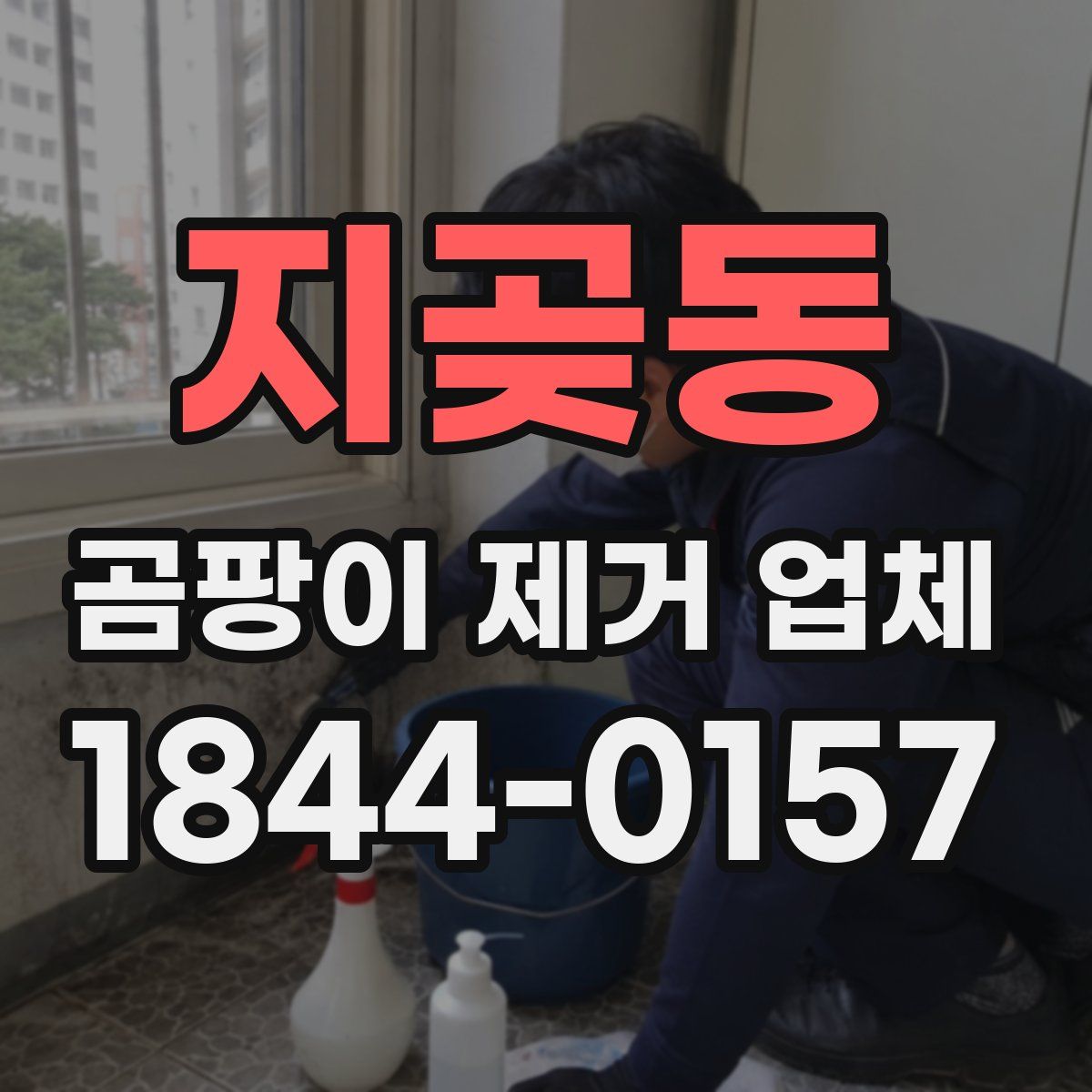 지곶동 곰팡이 제거 업체