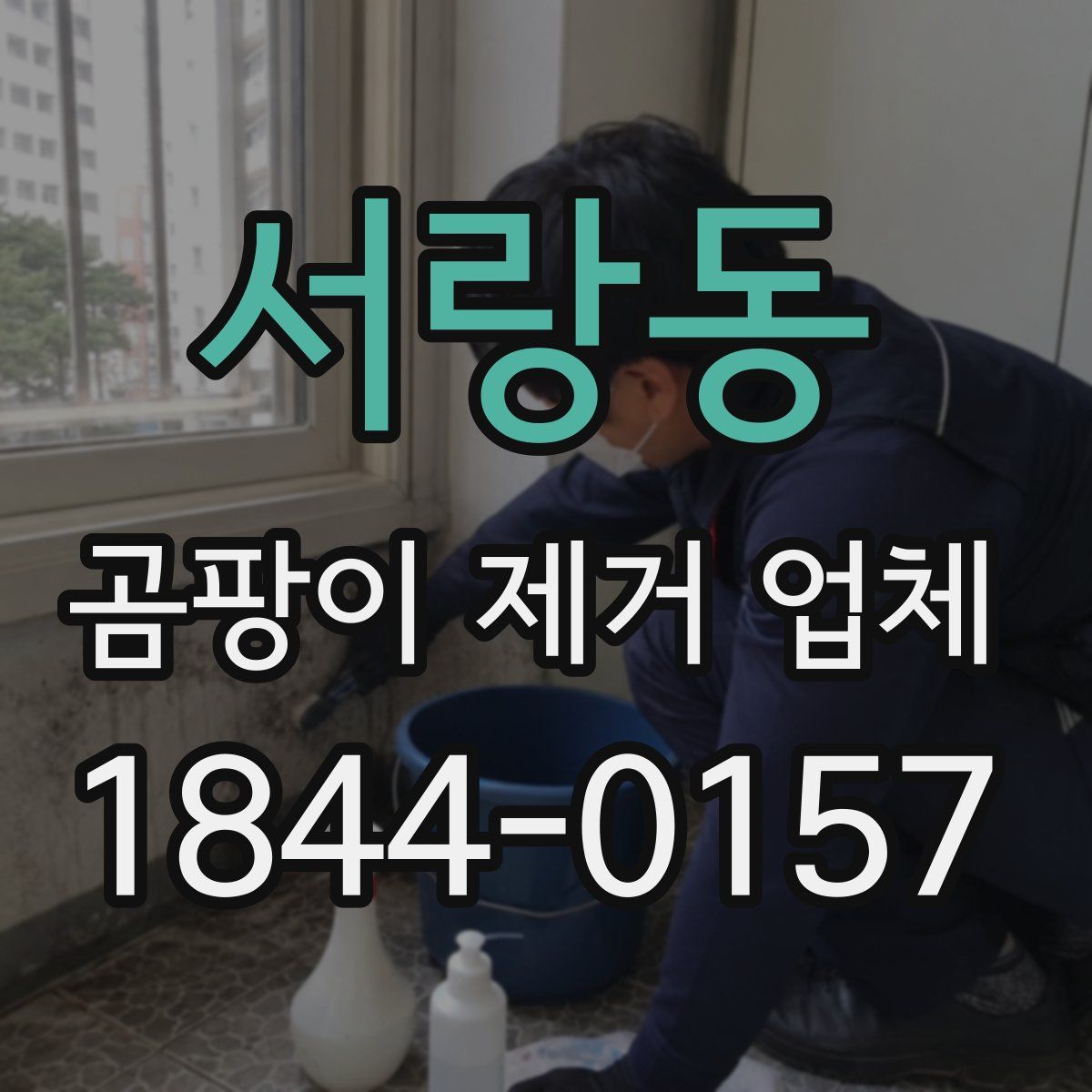 서랑동 곰팡이 제거 업체