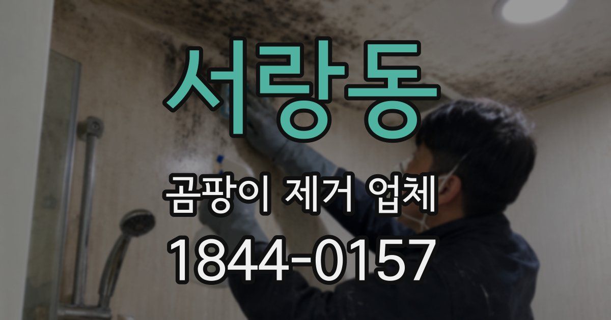 서랑동 곰팡이 제거 업체