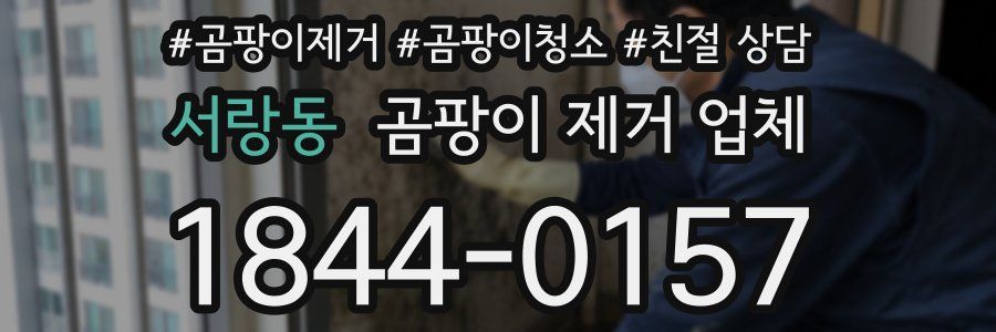 서랑동 곰팡이 제거 업체