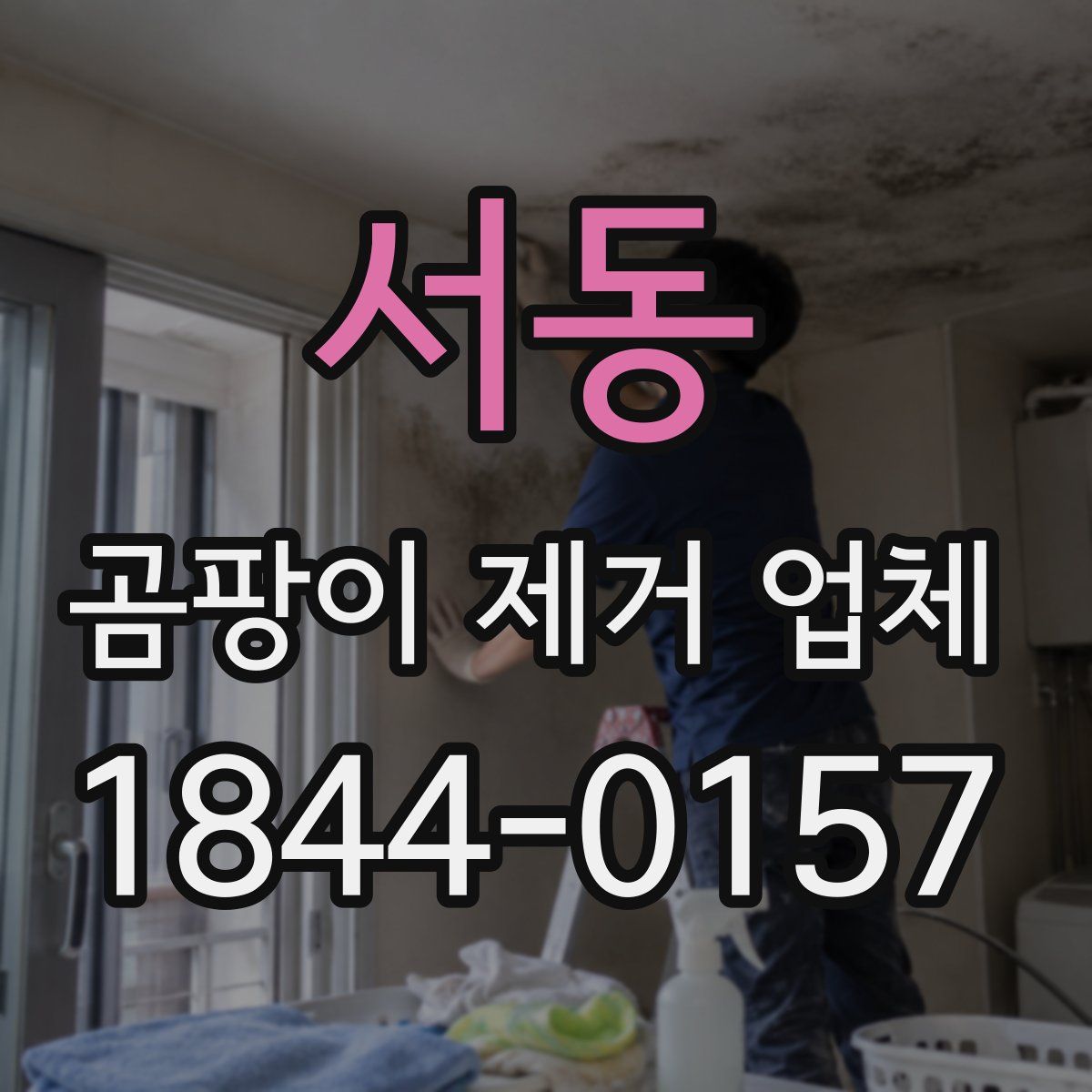 서동 곰팡이 제거 업체