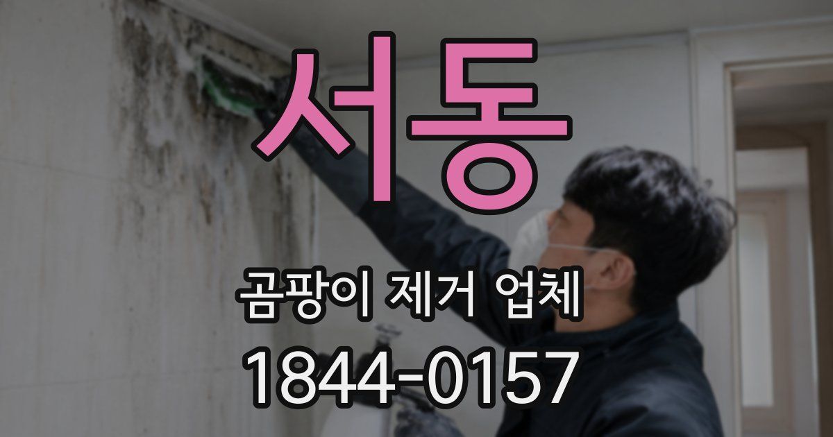 서동 곰팡이 제거 업체