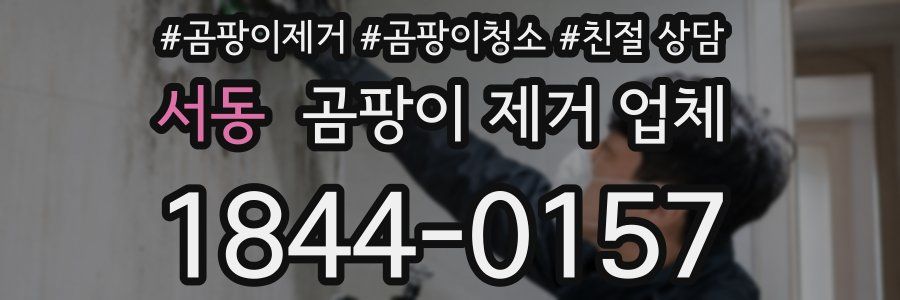 서동 곰팡이 제거 업체