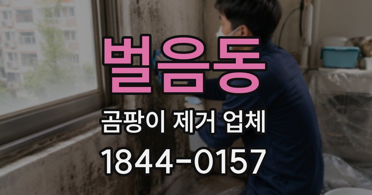 벌음동 곰팡이 제거 업체