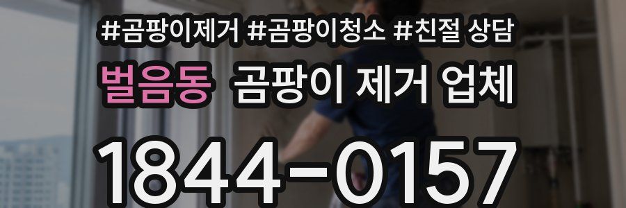 벌음동 곰팡이 제거 업체