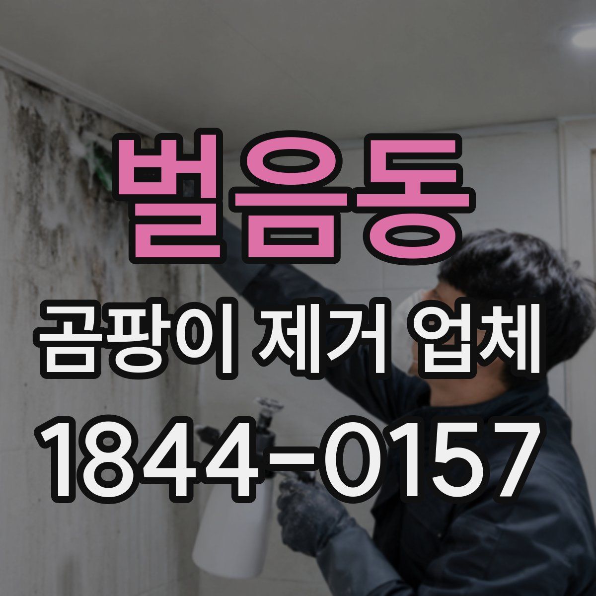 벌음동 곰팡이 제거 업체