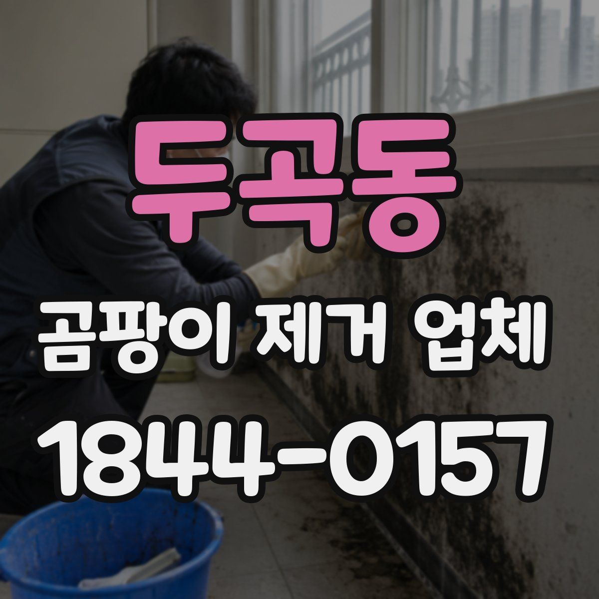 두곡동 곰팡이 제거 업체