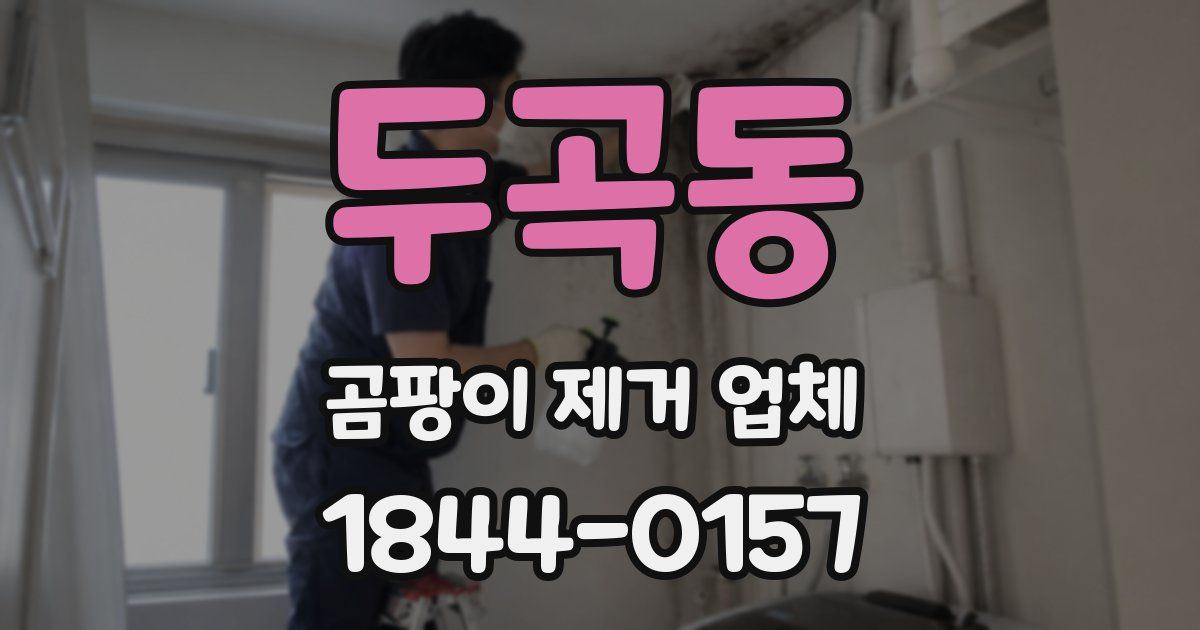 두곡동 곰팡이 제거 업체