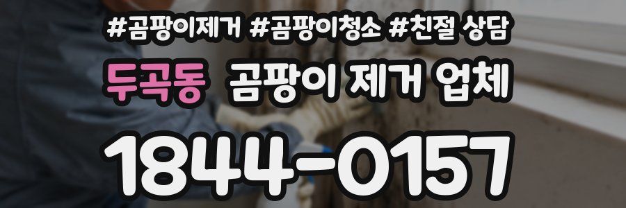 두곡동 곰팡이 제거 업체