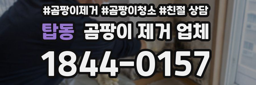 탑동 곰팡이 제거 업체