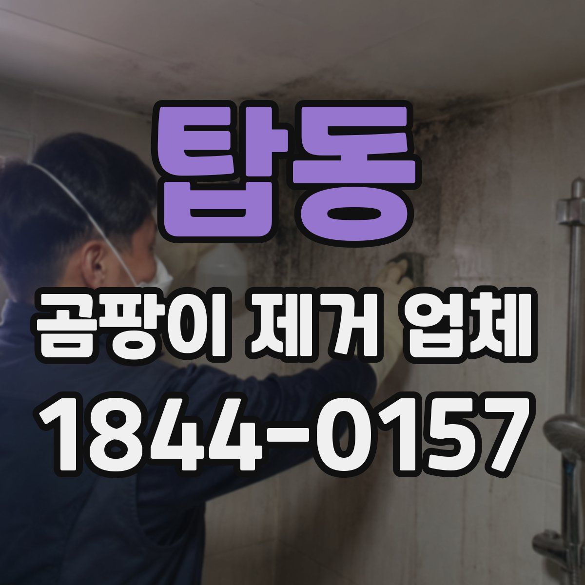 탑동 곰팡이 제거 업체