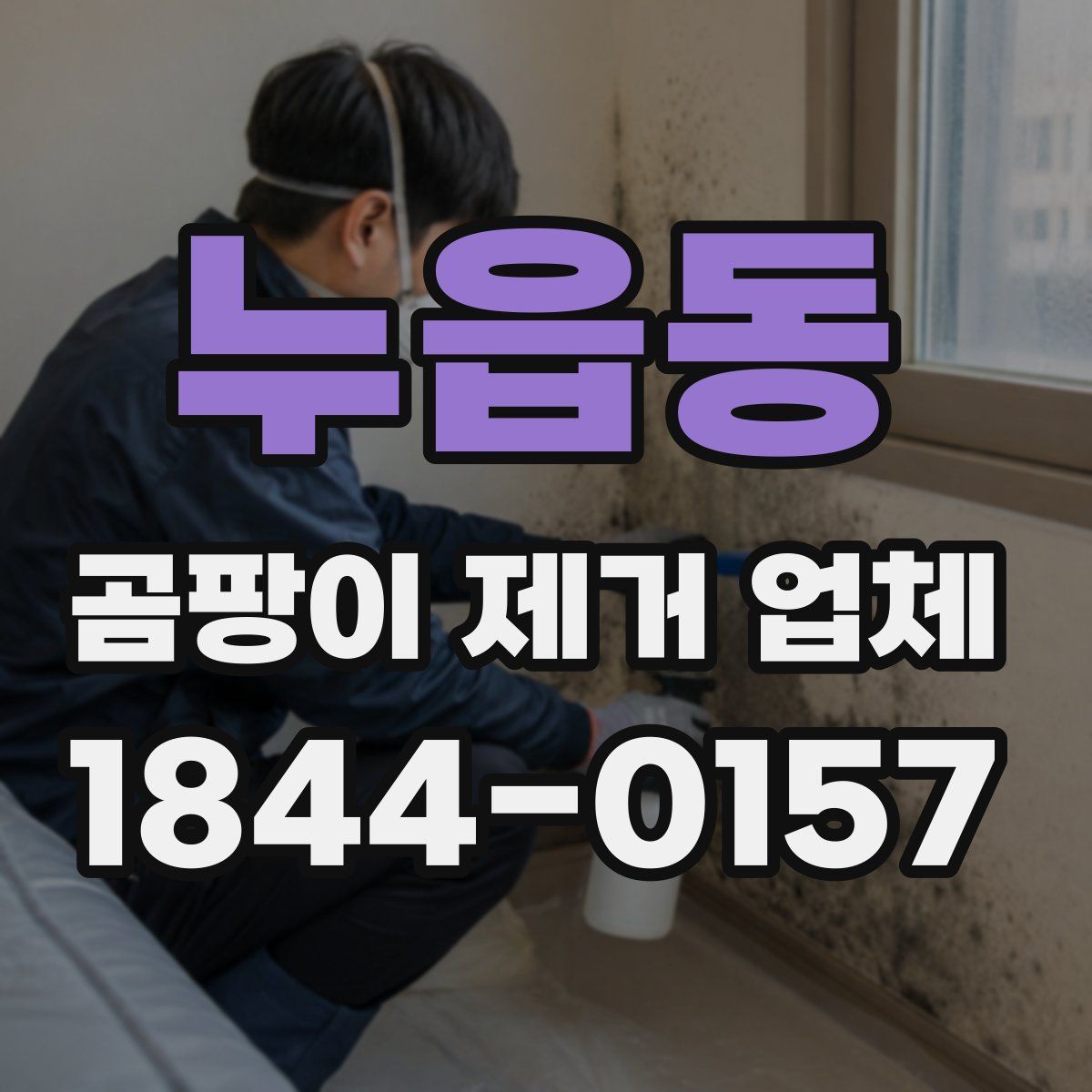 누읍동 곰팡이 제거 업체